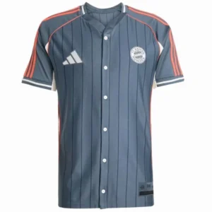 Bayern Múnich Camiseta 2025 2026 Especial Gris - Camiseta Bundesliga Bayern Múnich | 7camisetas
