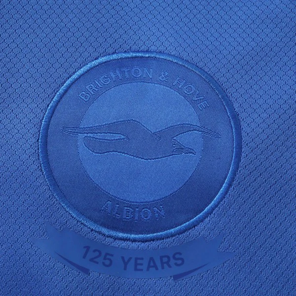 Brighton & Hove Albion Camiseta 2026 2027 Especial Azul - Camiseta Brighton & Hove Albion | 7camisetas