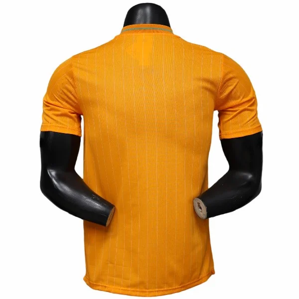 Costa De Marfil Camiseta 2026 Especial Naranja - Camiseta Costa De Marfil Mundial 2026 | 7camisetas