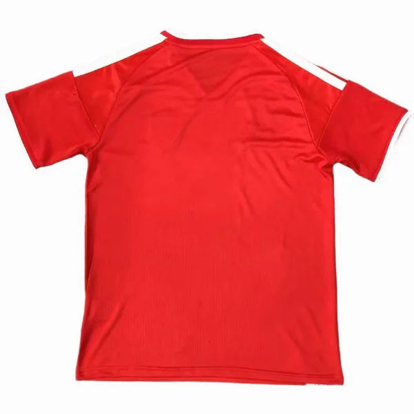 Gales Camiseta 2026 Especial Roja - Camiseta Gales Rugby | 7camisetas