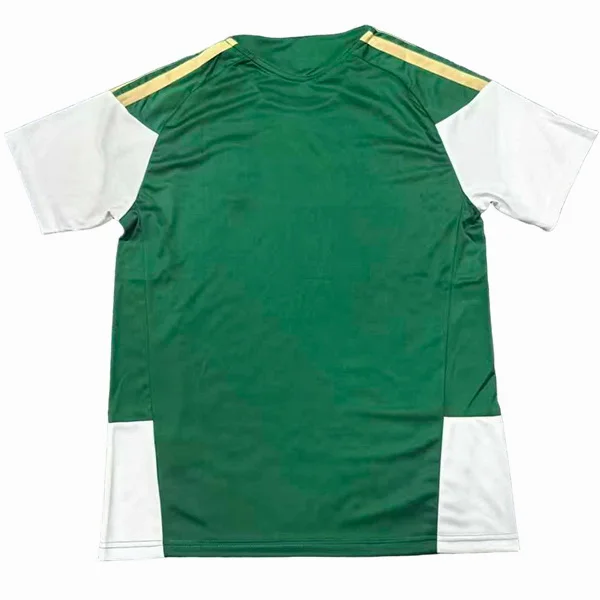 Italia Camiseta 2026 Especial Verde - Camiseta Italia | 7camisetas