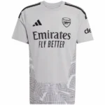 Arsenal Camiseta 2026 2027 Portero Gris - Camiseta Arsenal | 7camisetas
