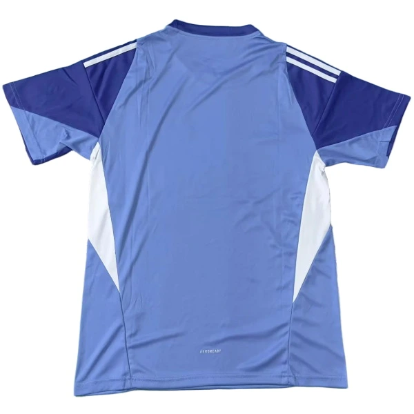 Newcastle United Camiseta 2025 2026 Portero Azul - Camiseta Newcastle United | 7camisetas