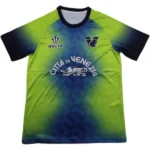 Venezia Camiseta 2024 2025 Portero Verde - Camiseta Serie A Venezia | 7camisetas