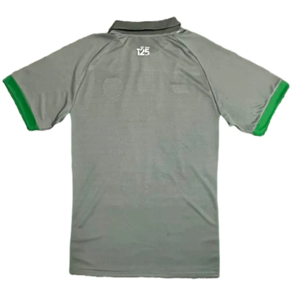 Cardiff City Camiseta 2024 2025 Segunda Gris - Camiseta Cardiff City | 7camisetas