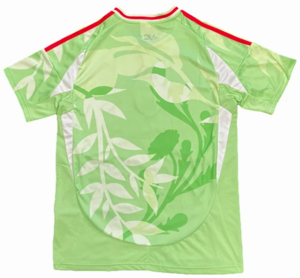 Italia Camiseta 2025 Segunda Verde - Camiseta Italia | 7camisetas